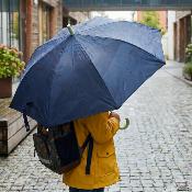 Parapluie long pour enfants - Intérieur imprimé - Vert - Dinosaure