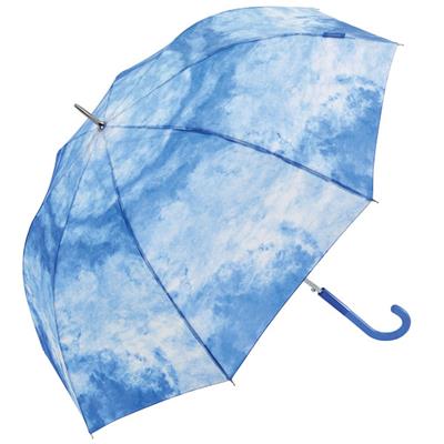 Parapluie long - Poignée courbée pour femme - Toile bleue - Effet nuage