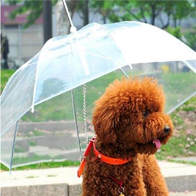 Parapluie pour chien avec laisse - Transparent