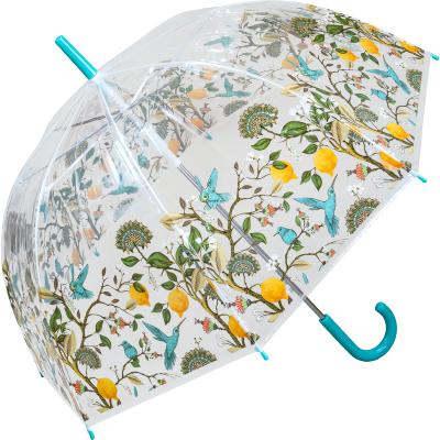Parapluie transparent cloche - avec bordure citrons