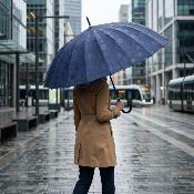 Parapluie Long pour Femme - 24 baleines - Bleu