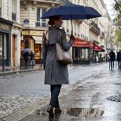 Parapluie pliant - Parapluie Extra Fin - Résistant au vent - Bleu