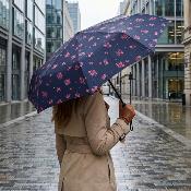 Mini parapluie pliant - Ouverture et fermeture automatiques - Poignée à molette - Résistant au vent - Bleu bouquet