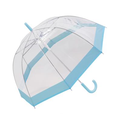 Parapluie droit ouverture automatique - Transparent avec bordure bleue ciel