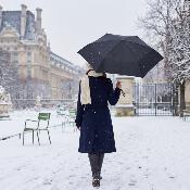 Mini parapluie pliant pour femmes - Ultra-léger et compact - Résistant au vent - Noir