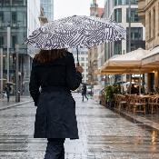 Parapluie pliant pour femme - Avec étui zippé en PVC et dragonne - Motif Xèbre