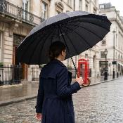 Parapluie Long pour Femme et Homme - 16 Baleines en fer - Grande toile de 135 cm - Résistant au vent - Poignée courbée en bois - Noir