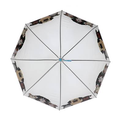 Parapluie cage à oiseaux transparent pour femmes - Système d'ouverture automatique - Motif Chiens