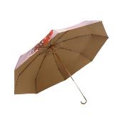Parapluie pliant pour femme - Parapluie cinq plis - Poignée courbée - Côte rose