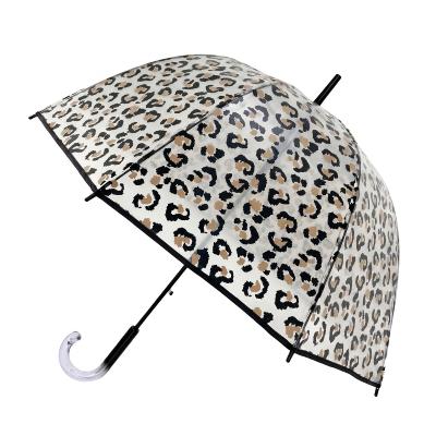 Parapluie cage à oiseaux transparent - Système d'ouverture automatique - Poignée en plastique cristallisé - Motif léopard