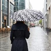 Parapluie Pliant Ultraléger et Compact pour Femme - Monochrome - Motif Feuilles