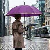 Grand parapluie automatique - Résistant au vent - Avec poignée courbée - Violette Jacinthe
