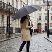 Parapluie Long pour Homme et Femme - 16 Baleines en Fibre de Verre - Ouverture Automatique - Poignée en Bois Incurvée - Rayé - Noir