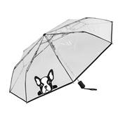 Parapluie pliant - automatique - transparent - chien