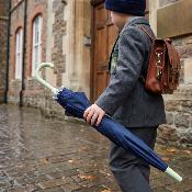 Parapluie long pour enfants - Intérieur imprimé - Vert - Dinosaure