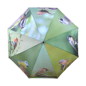 Parapluie droit avec système d'ouverture automatique et manche en bois - oiseaux