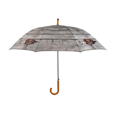 Grand parapluie automatique - Avec poignée courbée en bois - Coucou ! Chien et chat