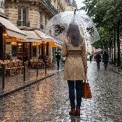 Parapluie cage à oiseaux transparent pour femme - Système d'ouverture automatique - Noir Cœur