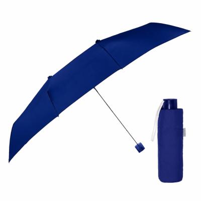 Parapluie pliant carré pour femmes - Grande toile de 102 cm - Résistant au vent - Adapté à 2 personnes - Bleu royal