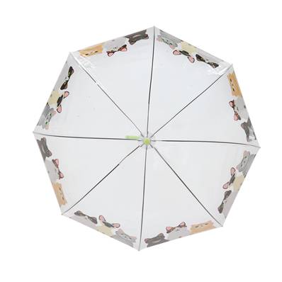 Parapluie cage à oiseaux transparent pour femme - Système d'ouverture automatique - Motif Chats