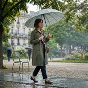 Parapluie Long - Poignée Courbée pour Femme et Homme - 16 baleines en Fibre de Verre - Résistant au vent - Manche en Bois - Vert Sauge