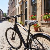 Housse de selle de vélo - Rayures zébrées noires et blanches