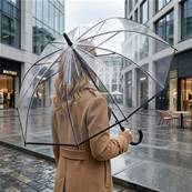 Parapluie Transparent Cloche Femme - Ouverture Automatique