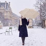 Mini parapluie pliant pour femmes - Ultra-léger et compact - Résistant au vent - Beige