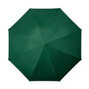Parapluie long femme - Ouverture automatique - Manche et poignée canne bois - Vert Sapin