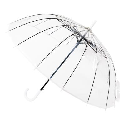 Parapluie transparent cloche femme - Ouverture Automatique - 16 baleines - Bordure blanche