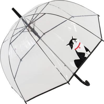Parapluie transparent cloche pour femme - Petit chat
