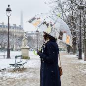 Parapluie cage à oiseaux transparent pour femme - Système d'ouverture automatique - Motif Chats