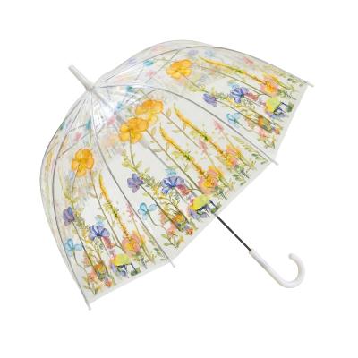 Parapluie Transparent pour Femme - Ouverture Automatique - 8 Baleines en Fibre de verre - Fleurs