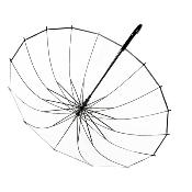 Parapluie transparent cloche femme - Ouverture Automatique - 16 baleines - Bordure noire