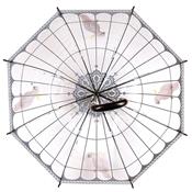 Parapluie cloche Transparent Solide - Ouverture Automatique - Imprimé Cage à oiseaux