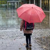 Parapluie long pour enfants - Intérieur imprimé - Rose - Licorne