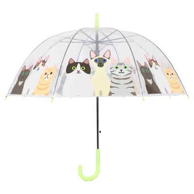 Parapluie cage à oiseaux transparent pour femme - Système d'ouverture automatique - Motif Chats