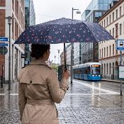Parapluie pliant pour femme - Ouverture automatique - Bleu avec motif plumes