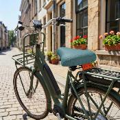 Housse de selle de vélo - Bluegrass Uni