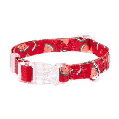 Ferribiella – Collier Watermelon Pour chiens look estival et confort – Taille Large – 2,5 x 44–66 cm – Multicolore