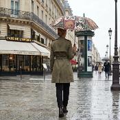 Parapluie Pliant pour Femme - Poignée Courbée en Bois - Motifs chat et chien