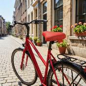 Housse de selle de vélo - Rouge Uni
