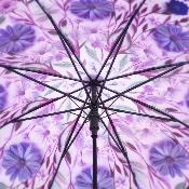 Parapluie Transparent pour Femme - Système d'ouverture automatique - Resistant au Vent - Motif floral - Lavande