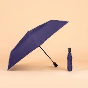 Parapluie pliant ultraléger pour femme - Ouverture et fermeture automatiques - Résistant au vent - Protection UV - Violette