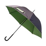 Parapluie droit pour femme - Parapluie à ouverture Automatique - Noir avec intérieur vert
