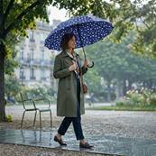 Parapluie Long - Poignée Courbée pour Femme et Homme - 16 baleines en Fibre de Verre - Résistant au vent - Manche en Bois - Bleu Marine