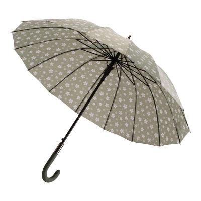 Parapluie Long - Poignée Courbée pour Femme et Homme - 16 baleines en Fibre de Verre - Résistant au vent - Manche en Bois - Vert Sauge