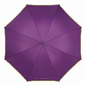 Grand parapluie automatique - Résistant au vent - Avec poignée courbée - Violette Jacinthe