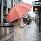 Grand parapluie automatique - Résistant au vent - Avec poignée courbée - Pêche de Géorgie