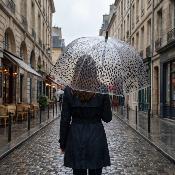 Parapluie cage à oiseaux transparent pour femme - Système d'ouverture automatique - Noir Gouttes